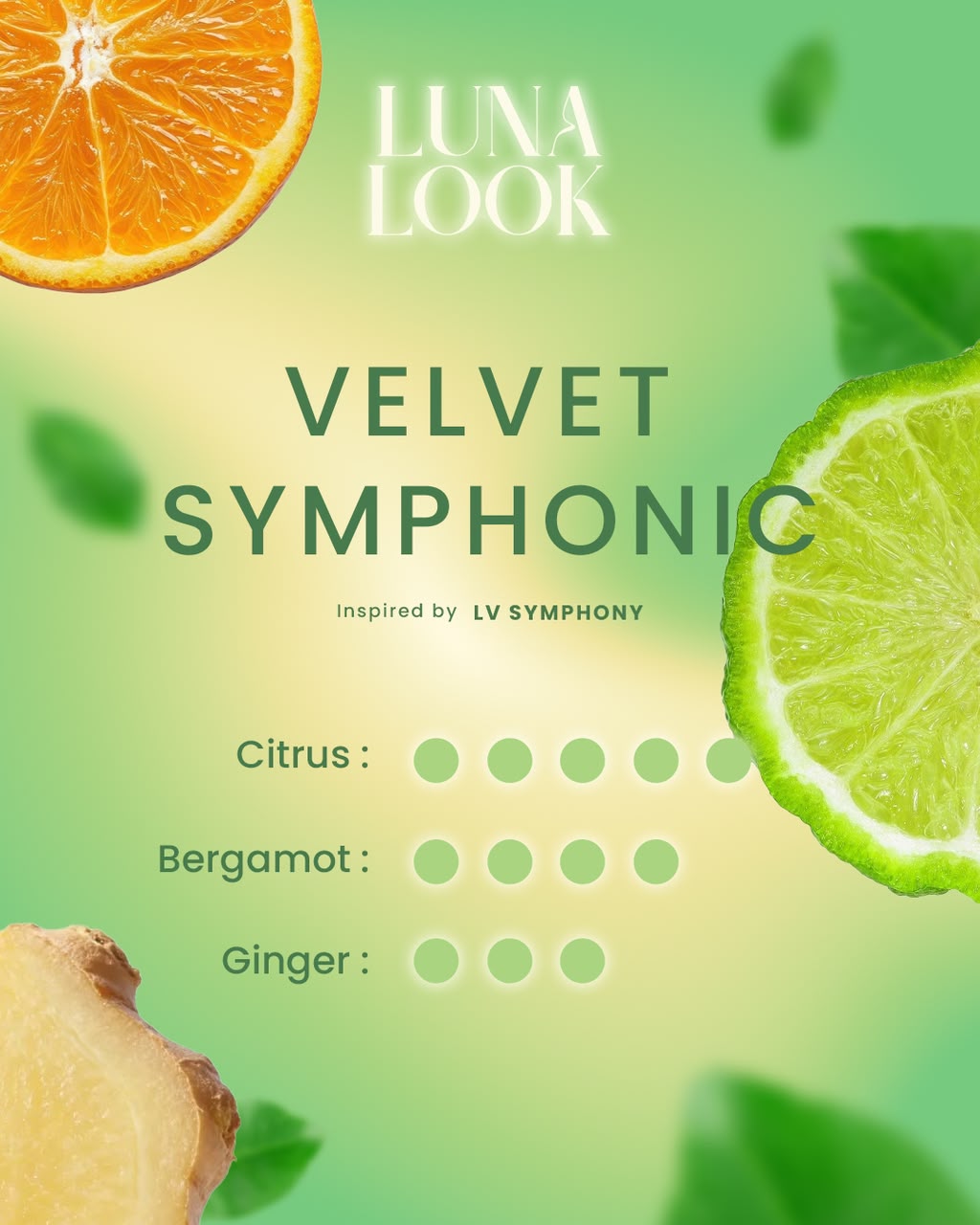 Perfume Combo - Set Tester - Image 7
